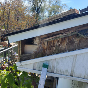 rotted fascia wood